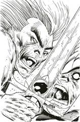 Thundercats [Liefeld Sketch Virgin] #2 (2024) Comic Books Thundercats Prices