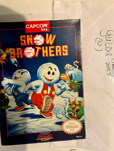 Snow Brothers | Box only | NES