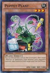 Puppet Plant [1st Edition] YuGiOh Starter Deck: Kaiba Reloaded Prices