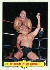 Attacked By An Animal Wrestling Cards 1985 Topps WWF Prices