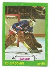 Ed Giacomin #140 Hockey Cards 1973 Topps Prices