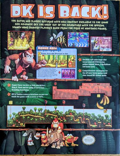 Donkey Kong Country Gameboy Advance Player's Guide photo