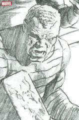 Red Goblin [Ross Virgin Sketch] Comic Books Red Goblin Prices