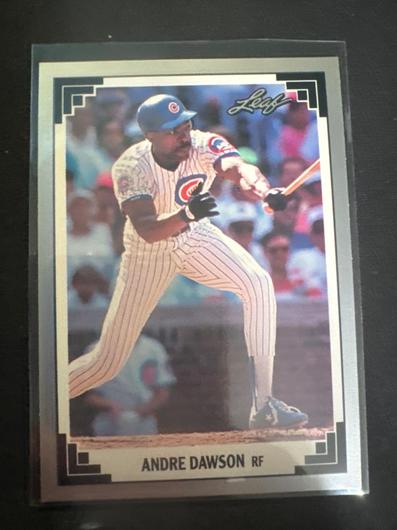 Andre Dawson #400 photo