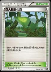 Forest of Giant Plants Pokemon Japanese Best of XY Prices