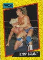 Flyin' Brian Wrestling Cards 1991 Impel WCW Prices