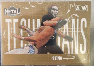 Sting [Gold] #TN-37 Wrestling Cards 2022 SkyBox Metal Universe AEW Technicians