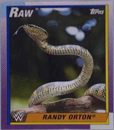 Randy Orton [Viper Snake] #33 Wrestling Cards 2021 Topps Heritage WWE