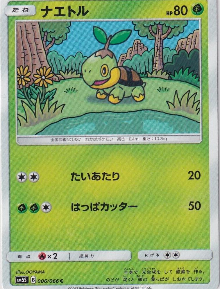 Turtwig #6 Pokemon Japanese Ultra Sun