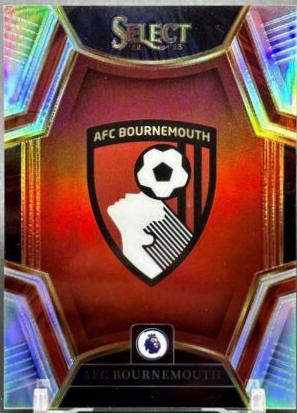 AFC Bournemouth #9 Soccer Cards 2022 Panini Select Premier League Team Badges