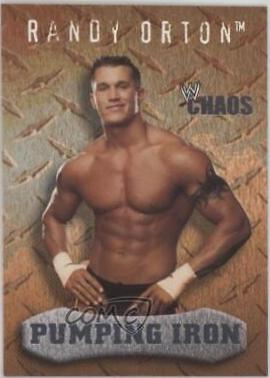 Randy Orton #91 Wrestling Cards 2004 Fleer WWE Chaos