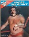 Andre The Giant #10 Wrestling Cards 1985 Topps WWF 3D