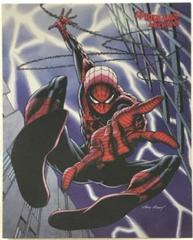 Enemies and Allies [Foil] #10 Marvel 2009 Rittenhouse Spider-Man Archives Prices