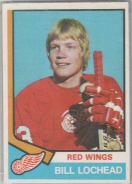 Bill Lochead #318 Hockey Cards 1974 O-Pee-Chee