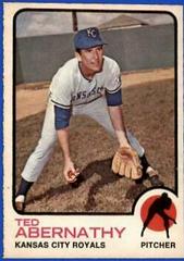 Ted Abernathy #22 Baseball Cards 1973 O Pee Chee Prices