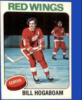 Bill Hogaboam #67 Hockey Cards 1975 O-Pee-Chee