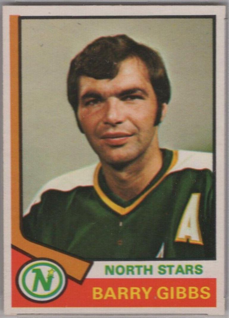 Barry Gibbs #203 Hockey Cards 1974 O-Pee-Chee