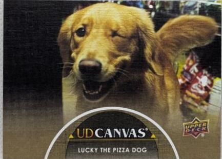 Lucky the Pizza Dog #C12 Marvel 2024 Upper Deck Studios UD Canvas