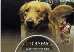 Lucky the Pizza Dog #C12 Marvel 2024 Upper Deck Studios UD Canvas Prices