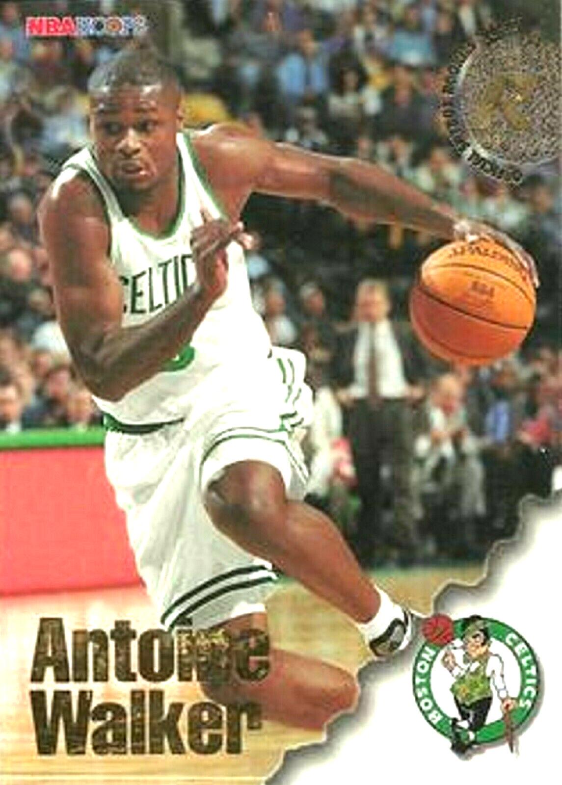 Antoine Walker #312 Basketball Cards 1996 Hoops