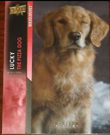 Lucky the Pizza Dog #46 Marvel 2024 Upper Deck Studios