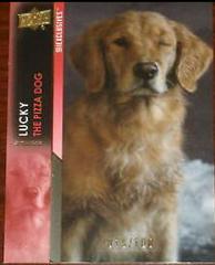 Lucky the Pizza Dog #46 Marvel 2024 Upper Deck Studios Prices