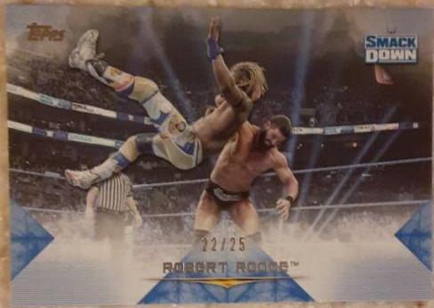 Robert Roode [Blue] #44 Wrestling Cards 2020 Topps WWE Undisputed