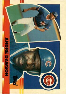 Andre Dawson #91 Baseball Cards 1990 Topps Big Baseball