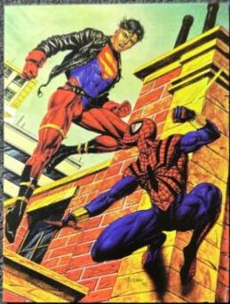 Spider-Man #11 1995 Fleer DC vs Marvel