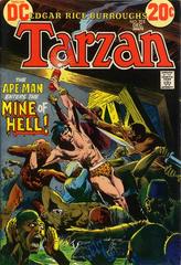 Tarzan #215 (1972) Comic Books Tarzan Prices
