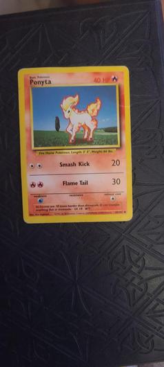 Ponyta #60 photo