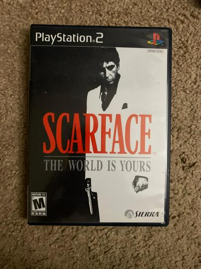 Scarface the World is Yours photo