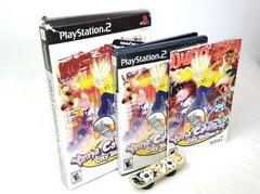 Complete (With Skateboard) | Yanya Caballista City Skater Playstation 2