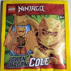 LEGO Set | Golden Dragon Cole LEGO Ninjago