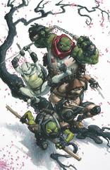Teenage Mutant Ninja Turtles: The Last Ronin II - Re-Evolution [Crain Virgin] #1 (2024) Comic Books Teenage Mutant Ninja Turtles: The Last Ronin II - Re-Evolution Prices