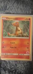 In Sleeve | Charmander Pokemon 2020 Battle Academy