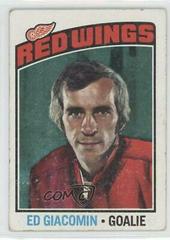 Ed Giacomin #160 Hockey Cards 1976 Topps Prices