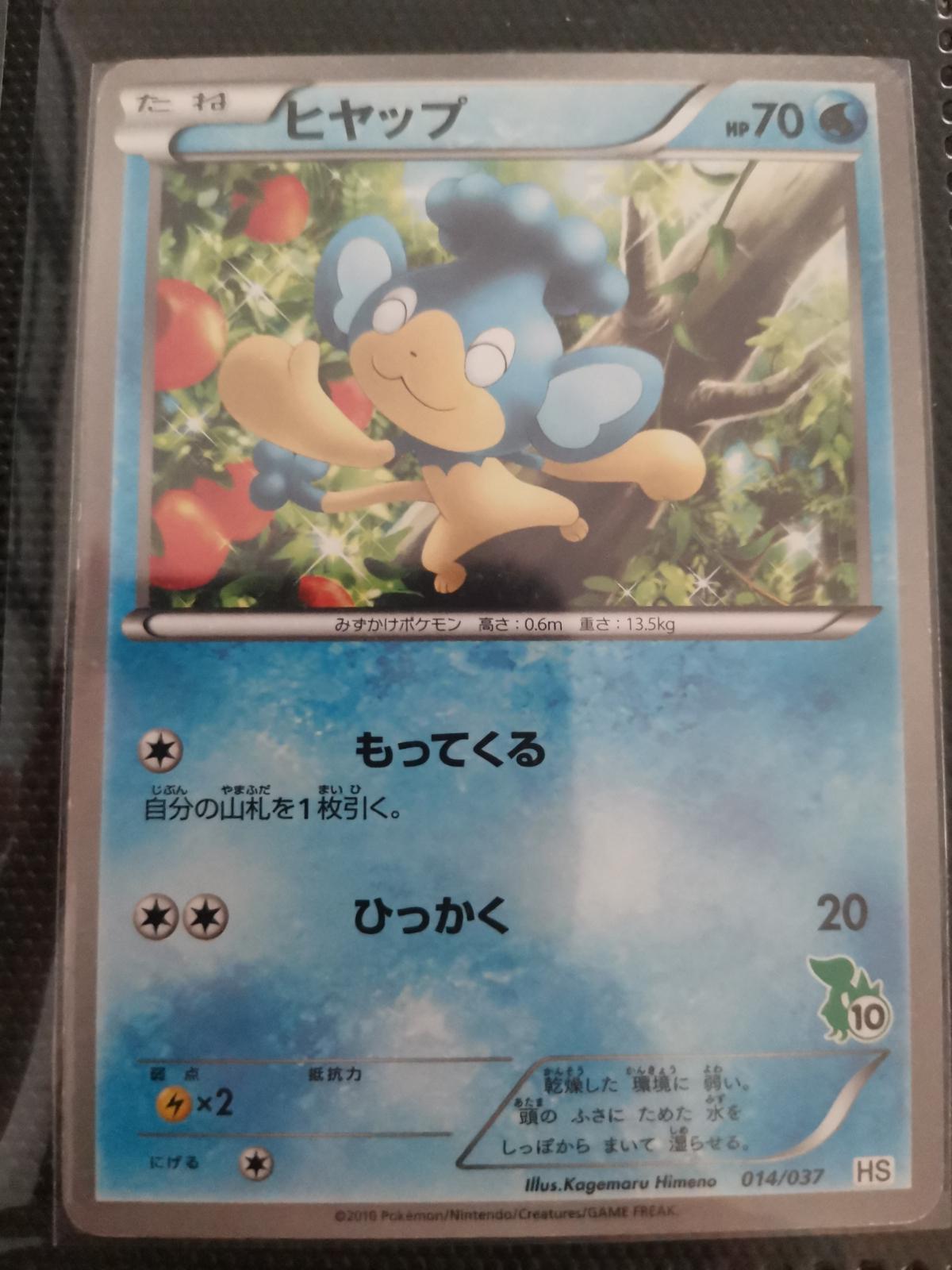 Panpour #14 Pokemon Japanese Beginning Set HS