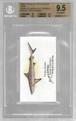 Tiger Shark Baseball Cards 2008 Topps Allen & Ginter World's Deadliest Sharks Mini Prices