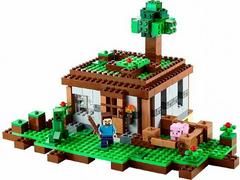 LEGO Set | The First Night LEGO Minecraft