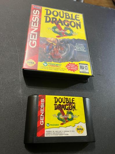 Double Dragon V The Shadow Falls photo