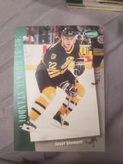 Josef Stumpel #293 Hockey Cards 1994 Parkhurst Prices
