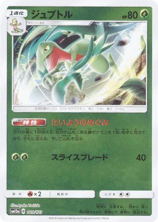 Grovyle #9 Pokemon Japanese Tag All Stars