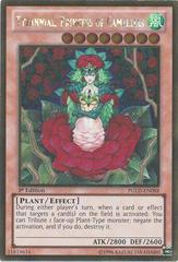 Tytannial, Princess of Camellias [1st Edition] YuGiOh Premium Gold Prices