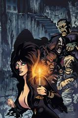 Elvira in Monsterland [Acosta Virgin] #5 (2023) Comic Books Elvira in Monsterland Prices
