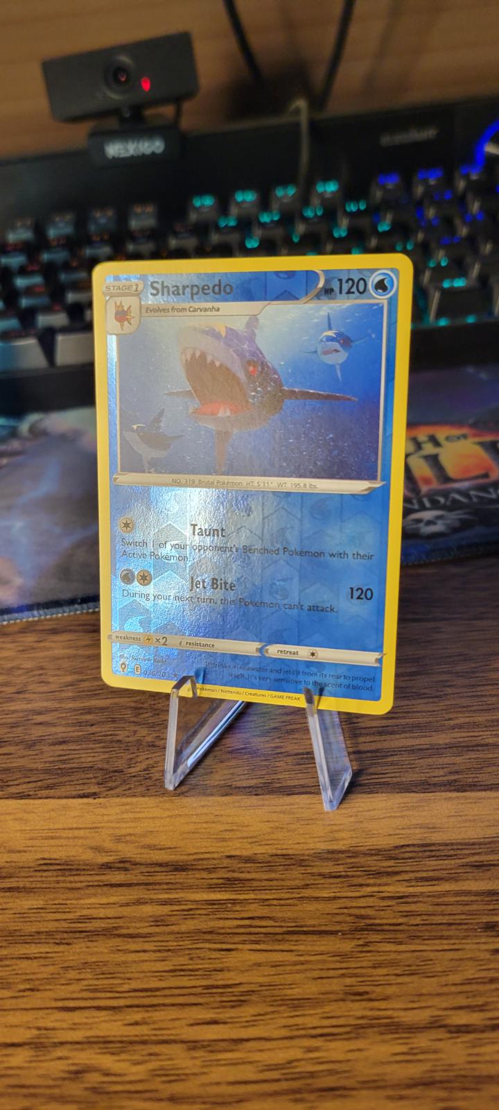 Sharpedo Reverse Holo Ungraded Pokemon Evolving Skies