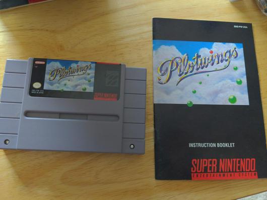 Pilotwings photo