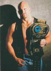 Stone Cold Steve Austin #6 Wrestling Cards 1998 WWF Superstarz Prices