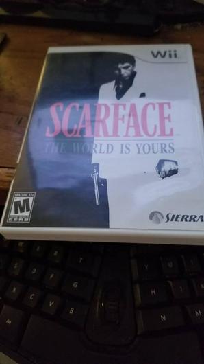 Scarface the World is Yours photo