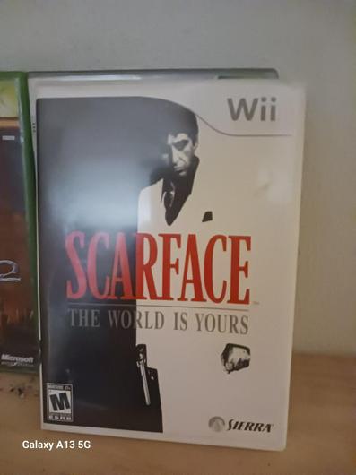 Scarface the World is Yours photo